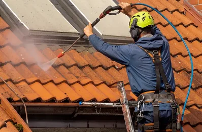 Démoussage et hydrofuge de toiture à Tullins